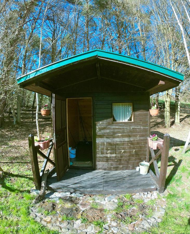 Agroturystyka Strzebielino Luaran gambar
